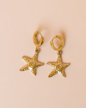 Boucles SEA